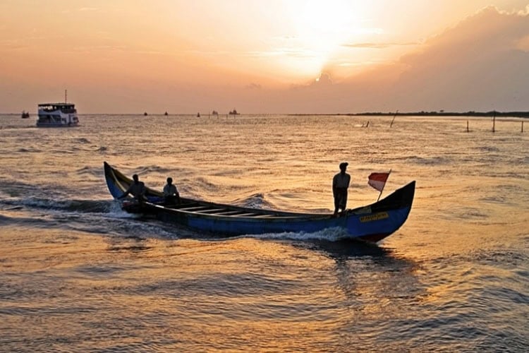 Kochi fishermen returning with the day's catch on a shimmering Arabian Sea. Photo by Ted Alan Stedman