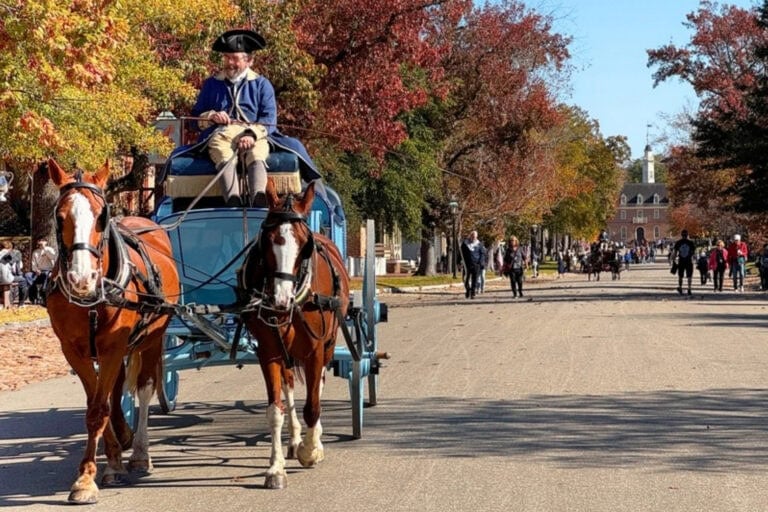 Horse and carriage ride on the historic streets of Colonial Williamsburg, Virginia. Photo by R.C. Staab