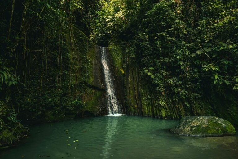 Jungle waterfall. Photo by THLT LCX, Unsplash