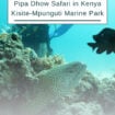 Diving in the pristine Kisite Marine Park. Photo courtesy of Pilli Pipa Dhow Safari Pinterest