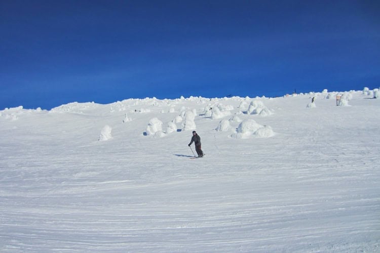 Our son skis and dodges snow ghosts on his descent at the mountain resort. Photo by Brent Cassie