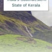 The lush tea estates of Kerala in India's Western Ghat Mountains. Photo by Ted Alan Stedman