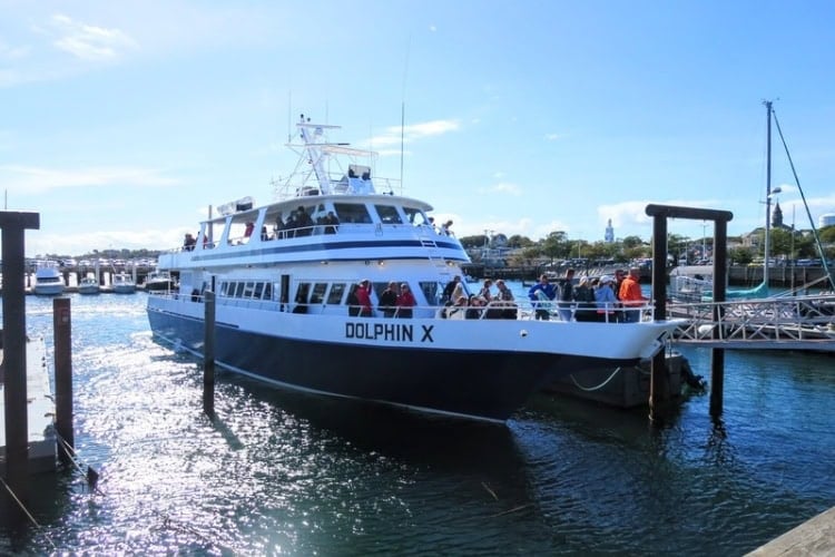 The 2-decked, 100-foot Dolphin X is part of a fleet of the Whale Watch Dolphin Fleet of Provincetown. Photo by Frank Hosek