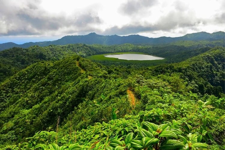 Grand Etang Lake on an island. Photo courtesy of Tourism Grenada