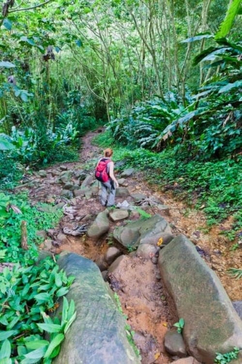 Grand Etang Trail in Grenada. Photo courtesy of Tourism Grenada