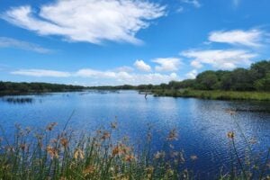 The wetlands of iSimangaliso Wetland Park. Photo by Janine Avery