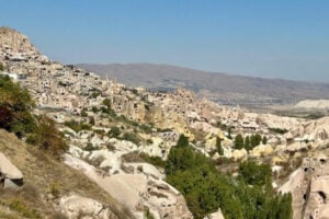 Honeycomb-like structures that were once lived in centuries ago. Photo by Paul Ehrlich