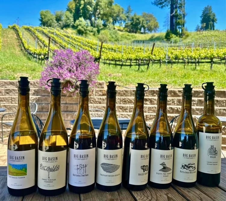Biodynamic and cult favorite wines at Big Basin Vineyards estate tasting room. Photo by Donna Sozio