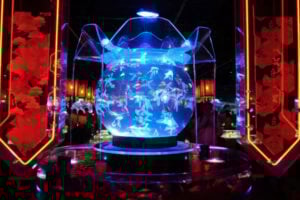 One of the many residents of Tokyo's Aquarium Art Museum. Photo by Alexander Goodman