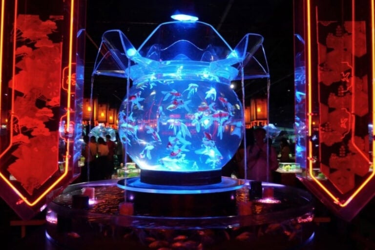 One of the many residents of Tokyo's Aquarium Art Museum. Photo by Alexander Goodman