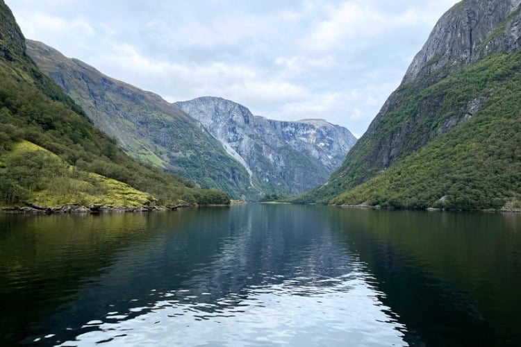 Cruise through the narrow Nærøyfjord, Norway. Photo by Maureen C. Bruschi