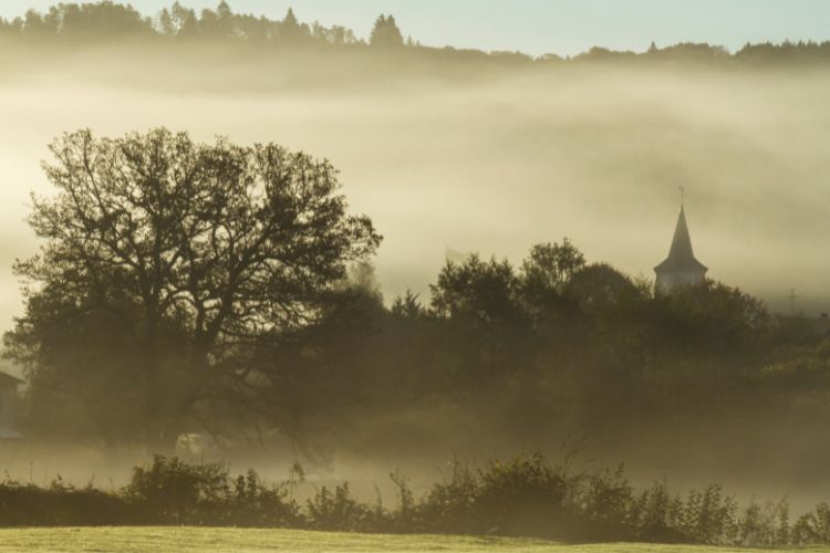 Misty morning in Morvan