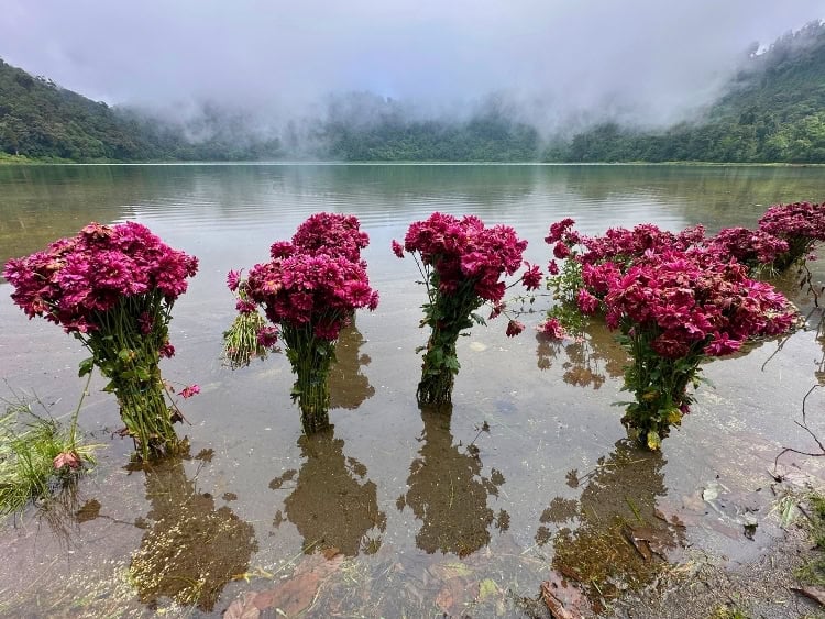 Offerings left at the sacred Mayan lake, Laguna Chicabal, in the Guatemalan Highlands. Photo by Isabella Miller