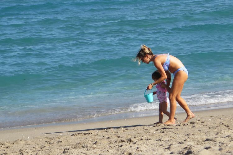 Shelling is superb along some stretches of sand in the Palm Beach