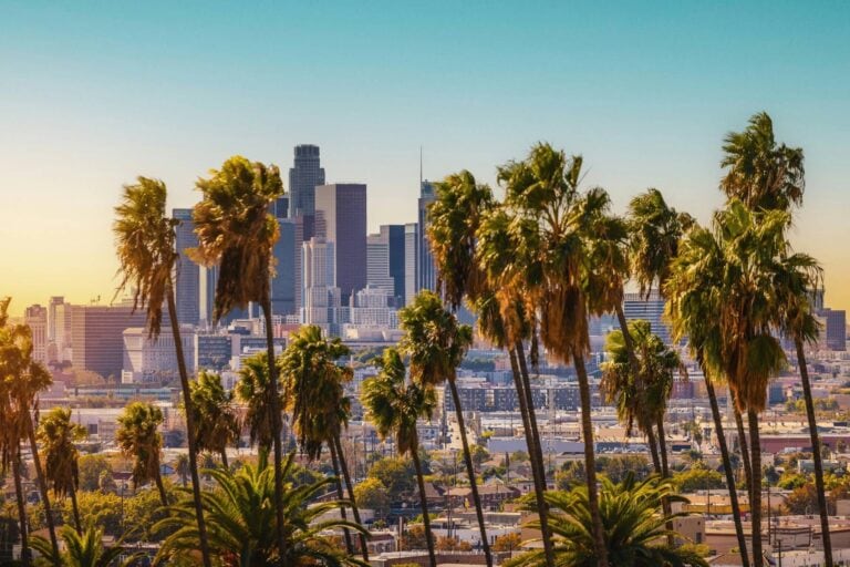 A scenic view of downtown Los Angeles, California, with iconic palm trees in the foreground, capturing the vibrant essence of the city. Photo by Getty Images, Unsplash