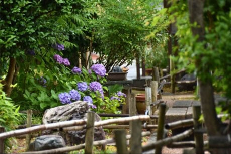 A riverside path near the author’s home. Photo by the author.