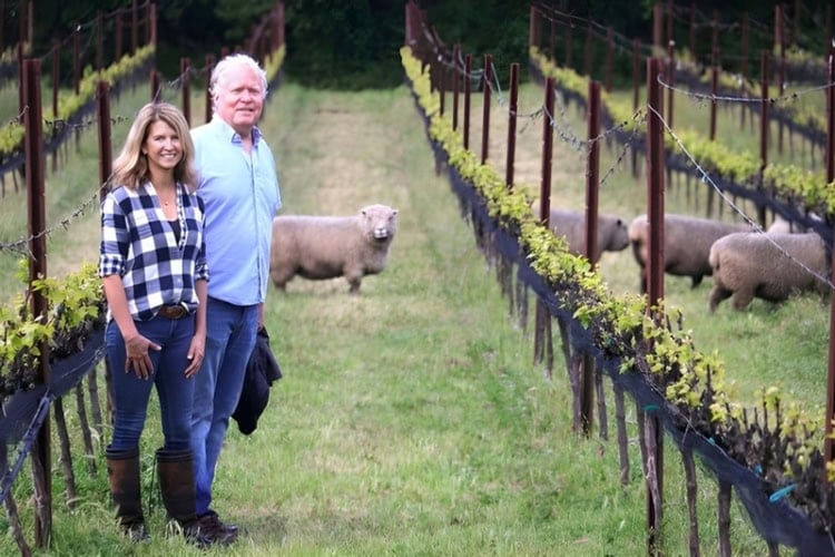 Stephen and Pamela Storrs amongst the vines with the vineyard sheep, Santa Cruz Mountains. Photo courtesy of Wines of Storrs Winery