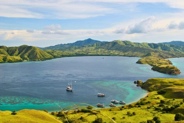 White boat on sea near green mountains. Photo by Denissa Devy, Unsplash