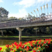 One of many bridges on the Parramatta River. Photo courtesy of Ayan Adak