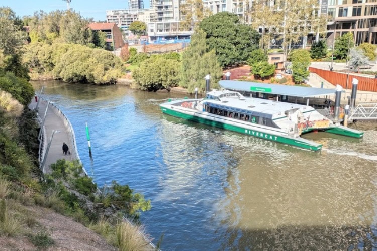 Catamaran departing from Parramatta Quay