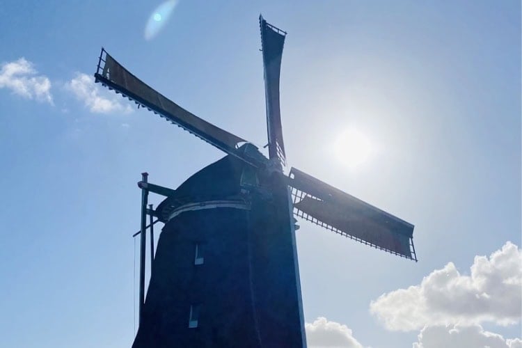 Classic windmills turning slowly in the breeze. Photo by Huyen Tran