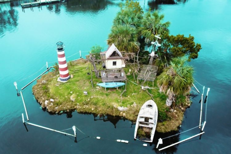 A troop of monkeys occupies a small island in the Homosassa River