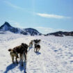 Our dog-sled team gives us an exhilarating tour of Mendenhall Glacier. Photo by Dorothy Maillet