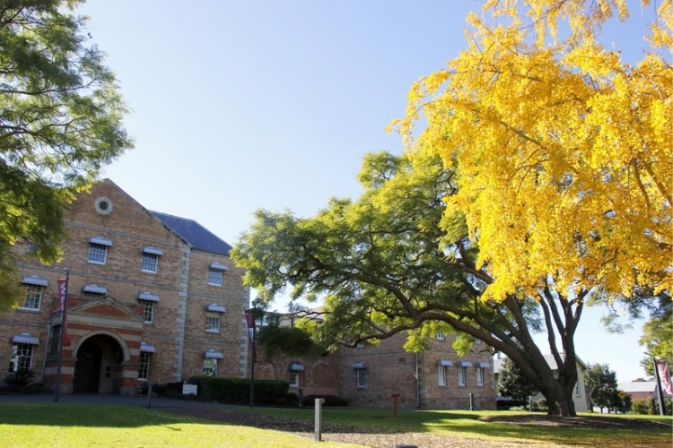 The Female Orphan School