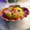 Houston Culinary experience Pinterest