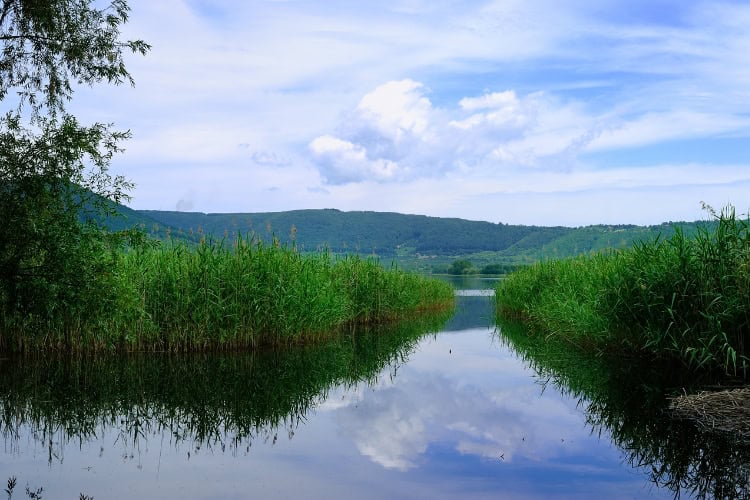 Lake Vico. Photo by pacaypalla from Getty Images via Canva