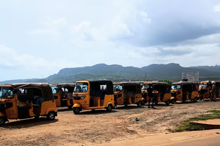 A row of yellow tuk tuks