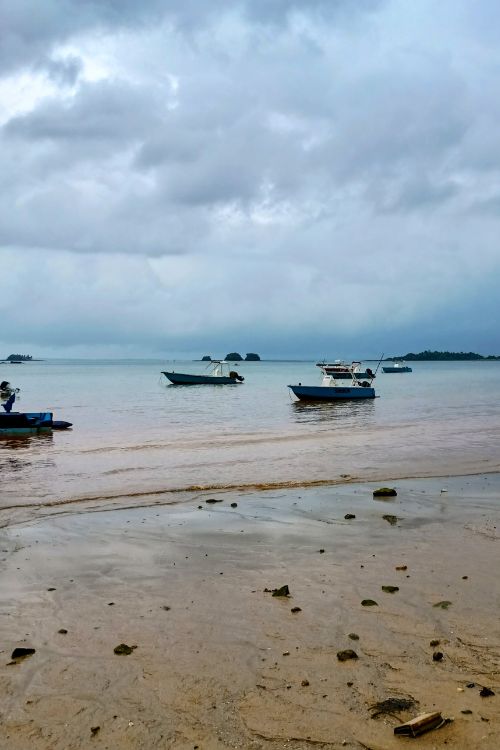 debris strewn beach