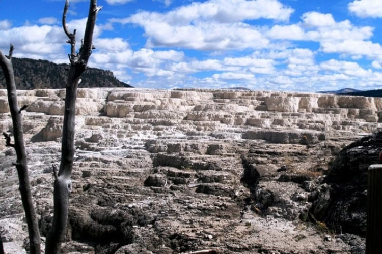 Mammoth Hot Springs photo by Brent Cassie