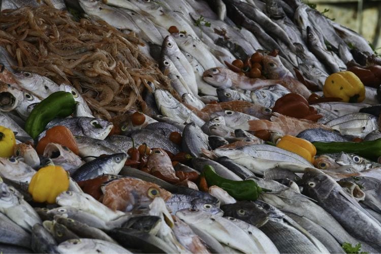 Fresh fish market.