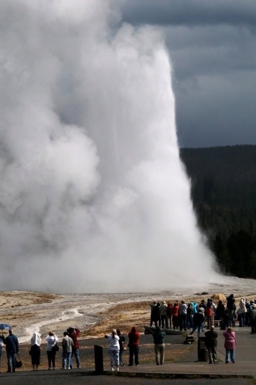 Old Faithful in Yellowstone National Park. Photo by Brent Cassie