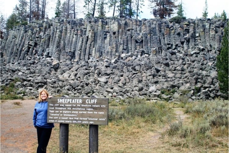 Basalt columns at Sheep Eater Cliff. Photo by Brent Cassie