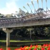 Sydney Parramatta Pinterest