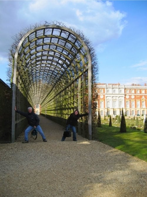 The Great Vine at Hampton Court Palace. Photo by Jane Cassie