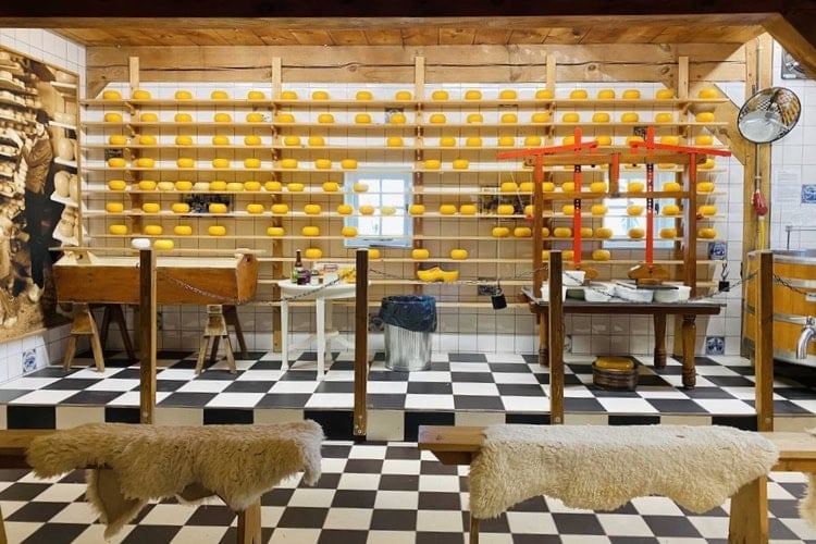 Watching traditional cheese-making up close. Photo by Huyen Tran