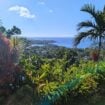 View from The Anton Villas. Photo by Keri G.