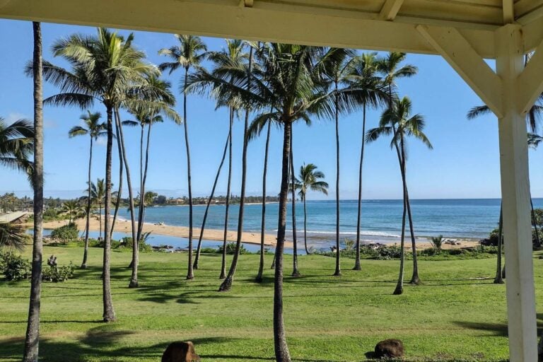 View from the grounds of the Hilton Garden Inn Kauai Wailua Bay. Photo by Karla Freimuth
