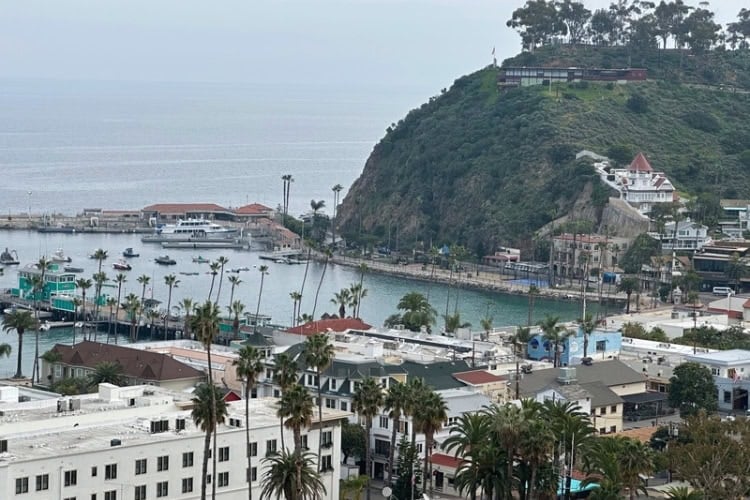 View of Avalon from Country Club Road. Photo by Don Mankin