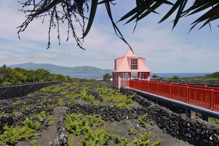 Wine Museum, Madalena, Pico Island. Photo by Andy Staab