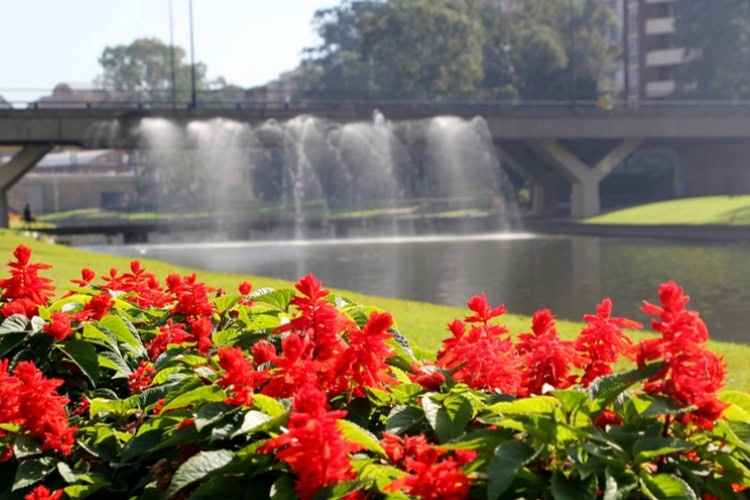 Walkway by the River