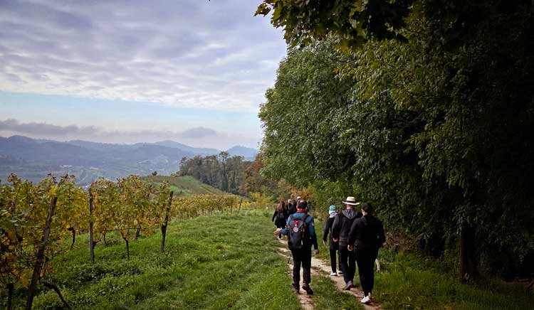 Hiking excursion on an AmaWaterways cruise on the Rhine River. Photo courtesy AmaWaterways