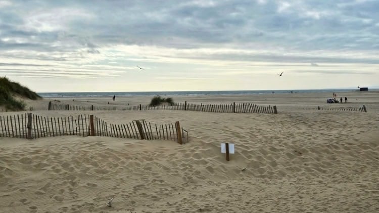 Barmouth Beach in Wales. Photo by Alma Egan