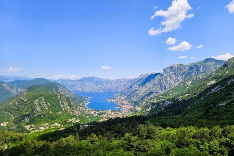 The Bay of Kotor is a submerged river canyon bordered by sheer limestone cliffs. Photo by Zuzana Zimmermannova