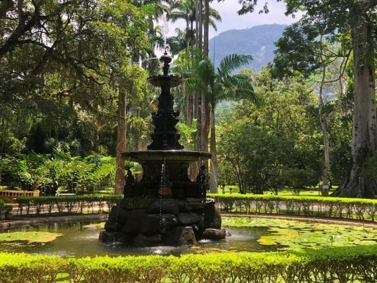 Central cast-iron fountain in the botanical garden. Photo by Carlos Omar Gardinet