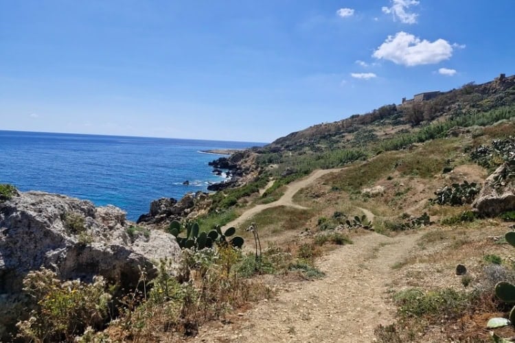 One of the many paths that constitutes a coastal walk in Gozo. Photo by Chris Saunders