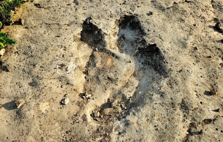 Dinosaur Plateau boasting the greatest number of dinosaur footprints anywhere. Photo by Edward Placidi
